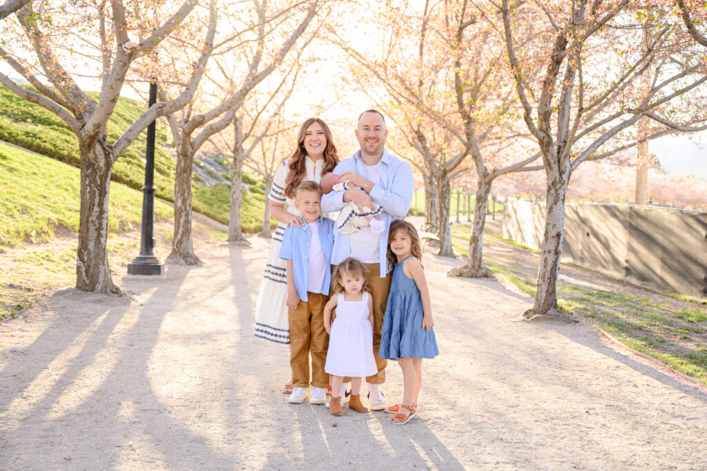 • Wide view of blossom trees blooming at Utah State Capitol lawn