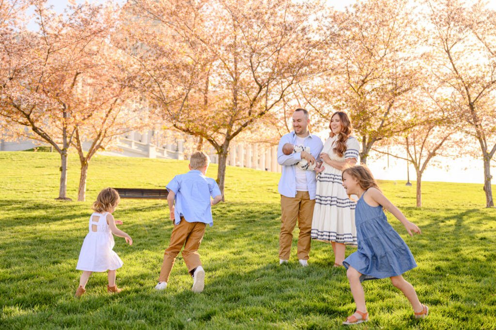 • Sunset light hitting cherry blossoms at Utah State Capitol grounds