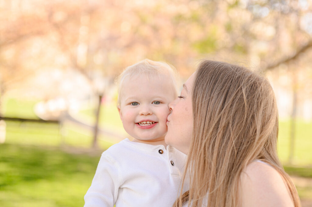 • Pink blossom trees and historic Utah State Capitol architecture