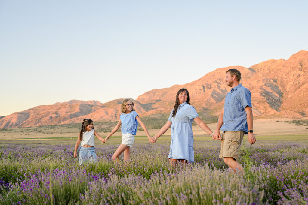 Purple lavender flowers blooming in Utah countryside
