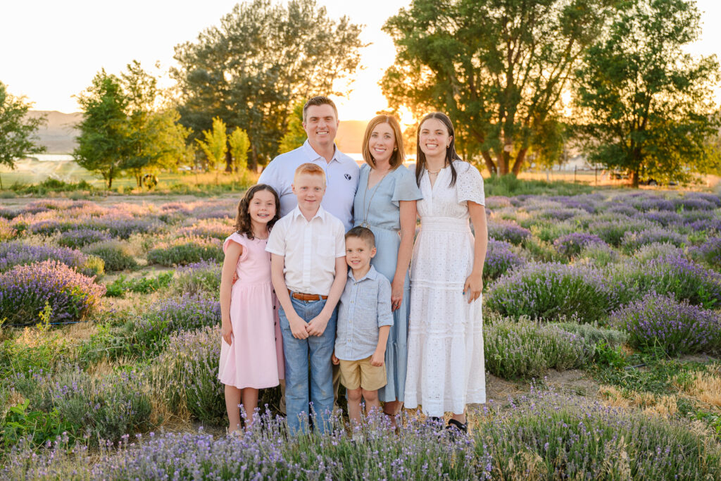 Blooming lavender fields during summer in Utah